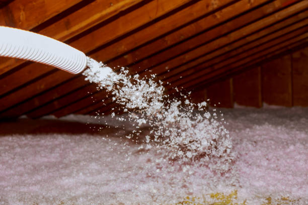 Best Types of Insulation in Helena West Helena, AR
