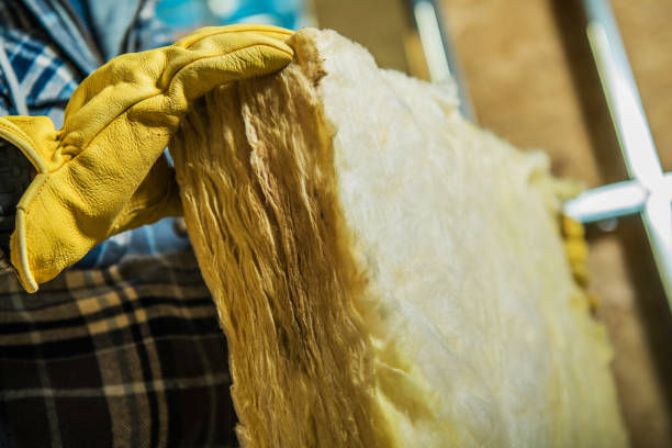 Best Insulation Maintenance and Repair in Helena West Helena, AR
