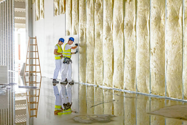 Best Insulation for Specific Applications in Helena West Helena, AR